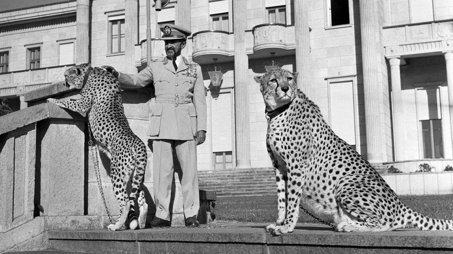 Hajle Syllasje I - The Last Emperor of Ethiopia with two cheetah pets.